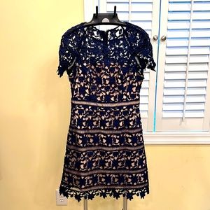 Eliza J, Navy blue lace dress, Size 6